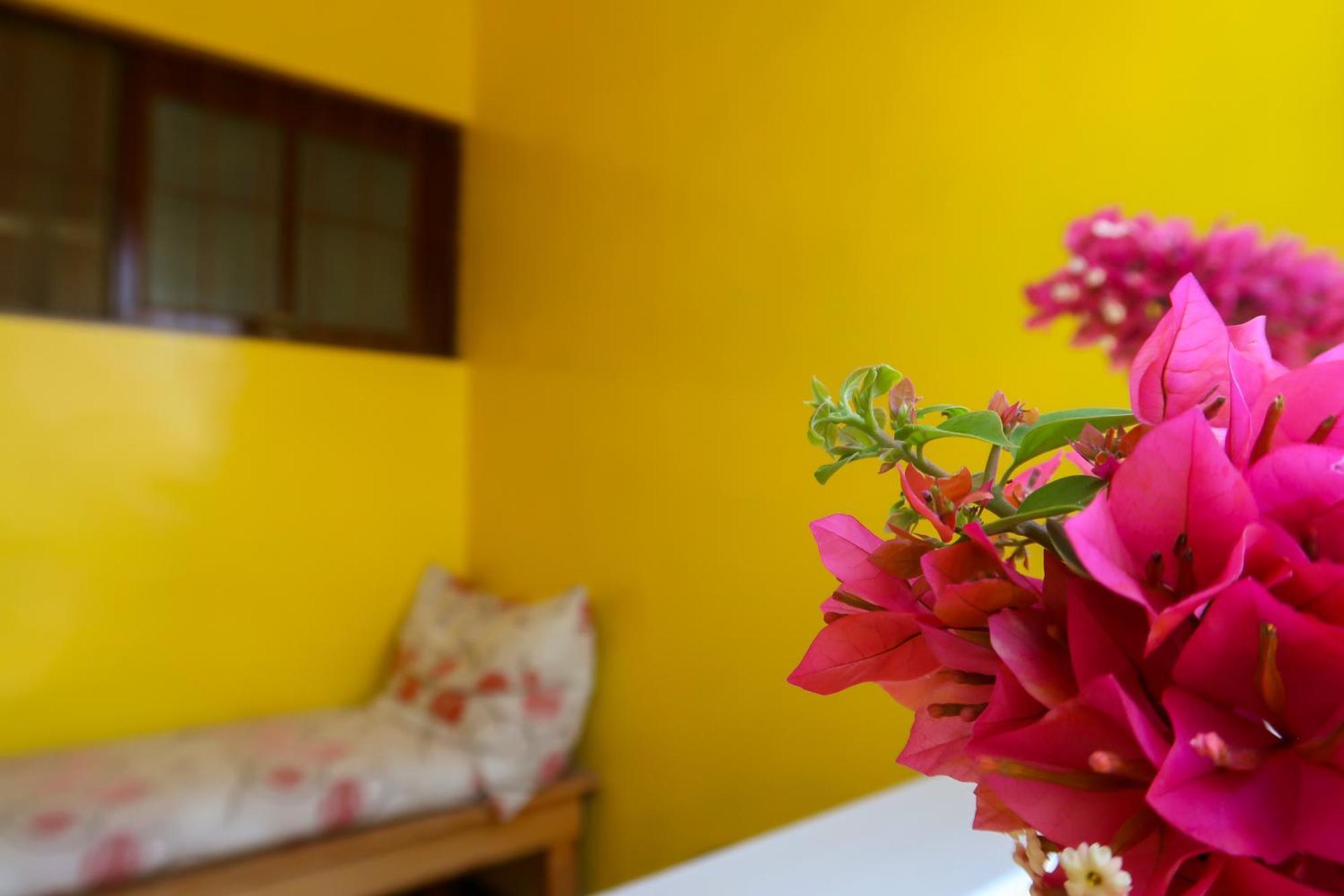 O Jardim Do Vinho, Ac Bed & Breakfast Praia Exterior foto